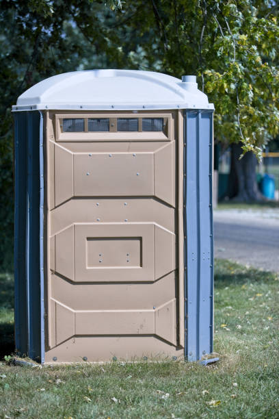 Best Local porta potty services  in Pine, AZ